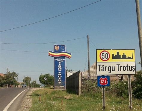 Find a prostitute Targu Trotus